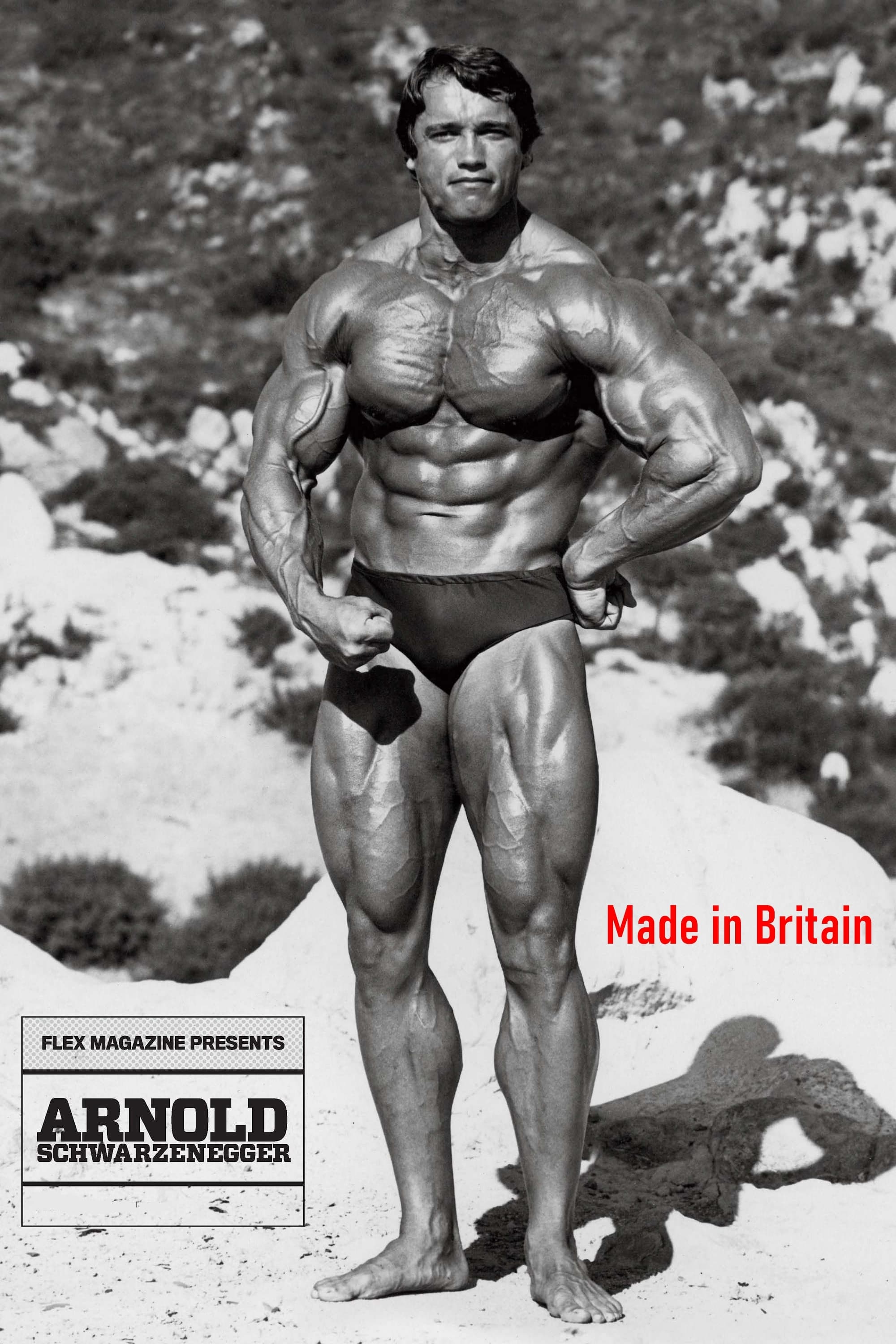 Постер Arnold: Made in Britain
